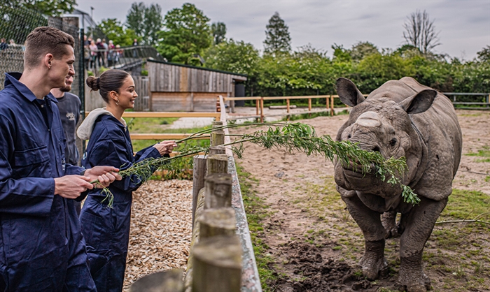 Chester Zoo