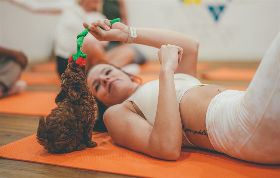 Puppy Yoga at Paw Yoga